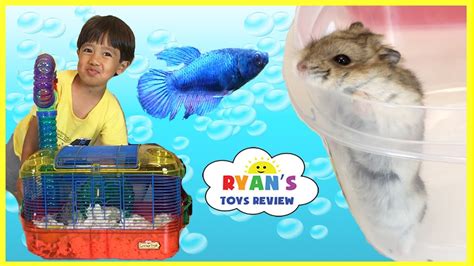 Ryan's pet - Ryan's Pet Supplies offers a wide selection of colors and sizes at great prices. Javascript is disabled on your browser. To view this site, you must enable JavaScript or upgrade to a JavaScript-capable browser.